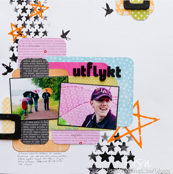 layout-30-inkywings-2014